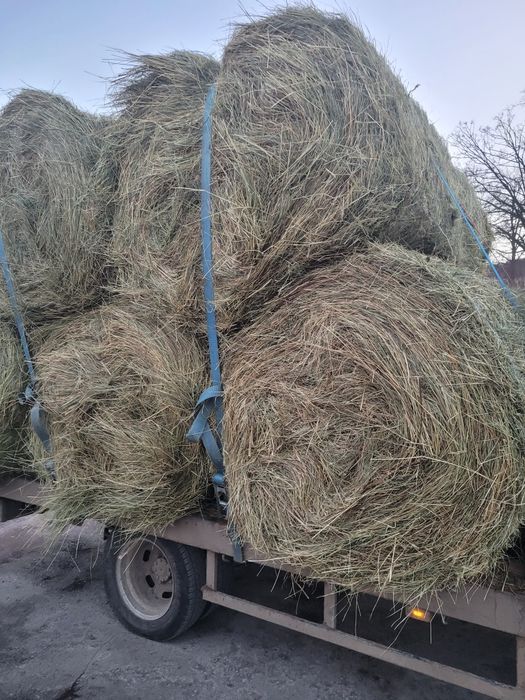 Vând fan de calitate! Am transport!