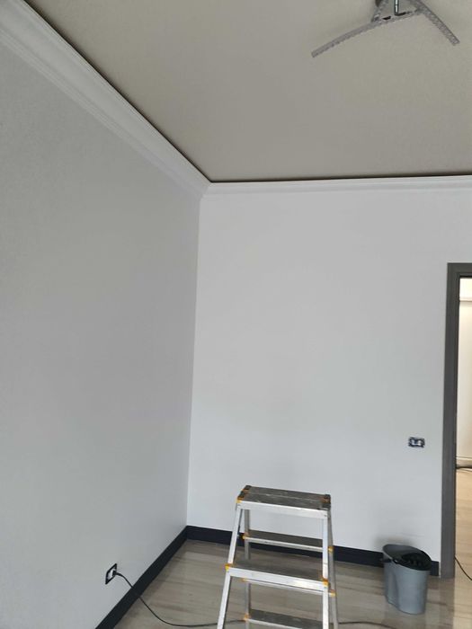 Disponibil Zugravit//Finisaje/Baghete/Chenare/Panouri Decorative