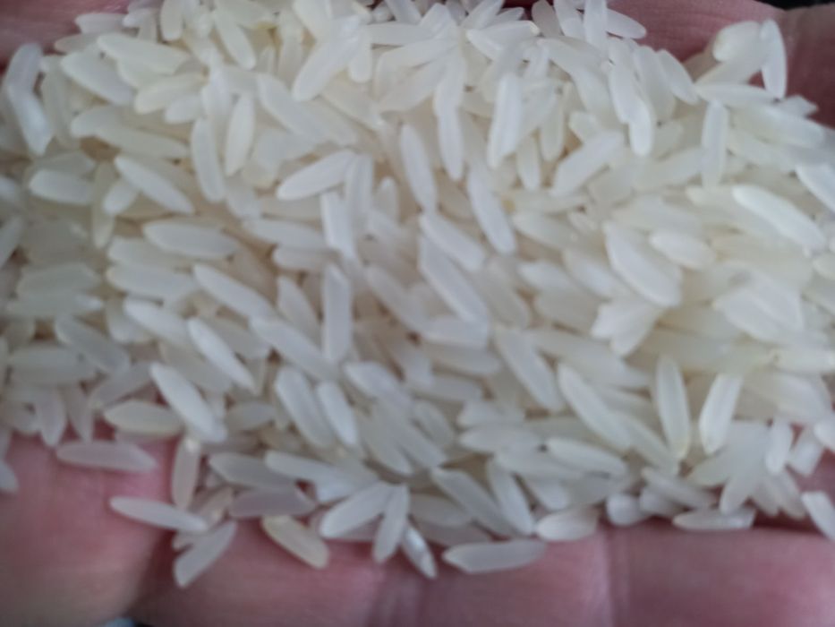 Хоразм гуруч база, оптом перечисления, Xorazm guruch optom