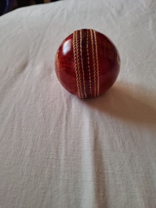 Minge Cricket Ranson