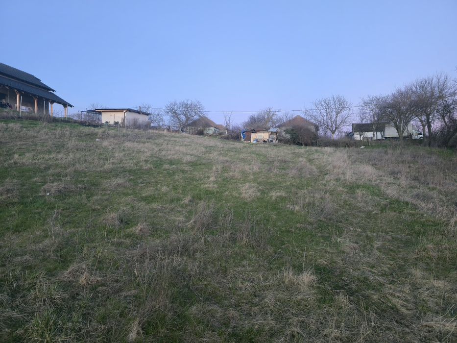 Teren 1000 mp Cornești lângă Timișoara |