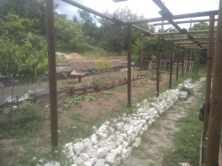 Рязане на опасни  дървета, косене на тревни площи.