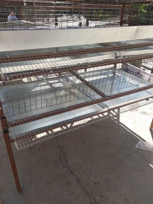 Бедана қафаси (Перепелиная клетка)