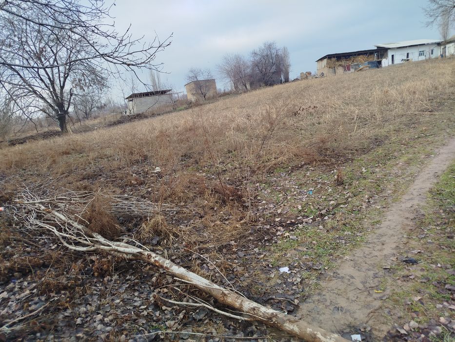 Yer uchastka sotiladi 15 sotix