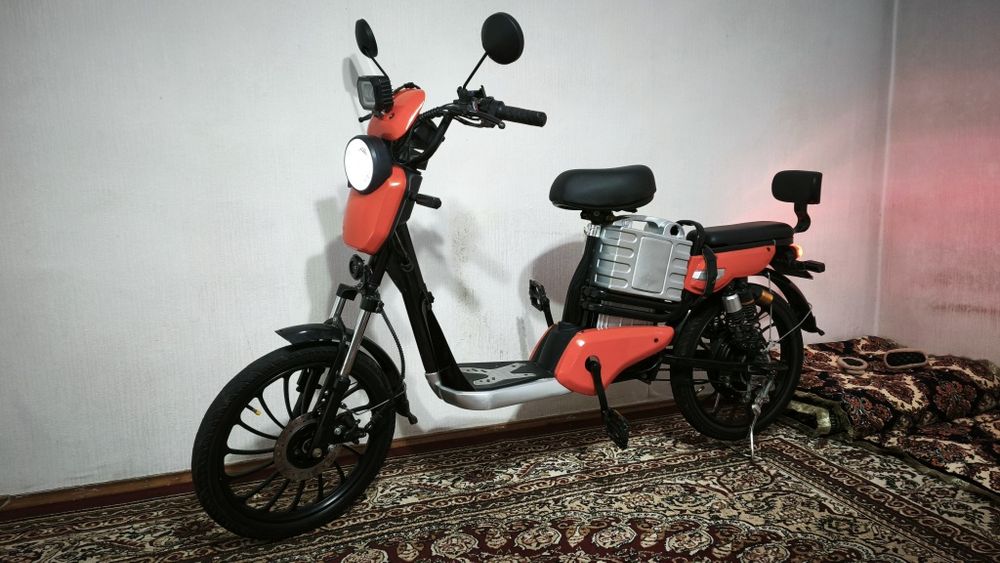 Drongo electric bike