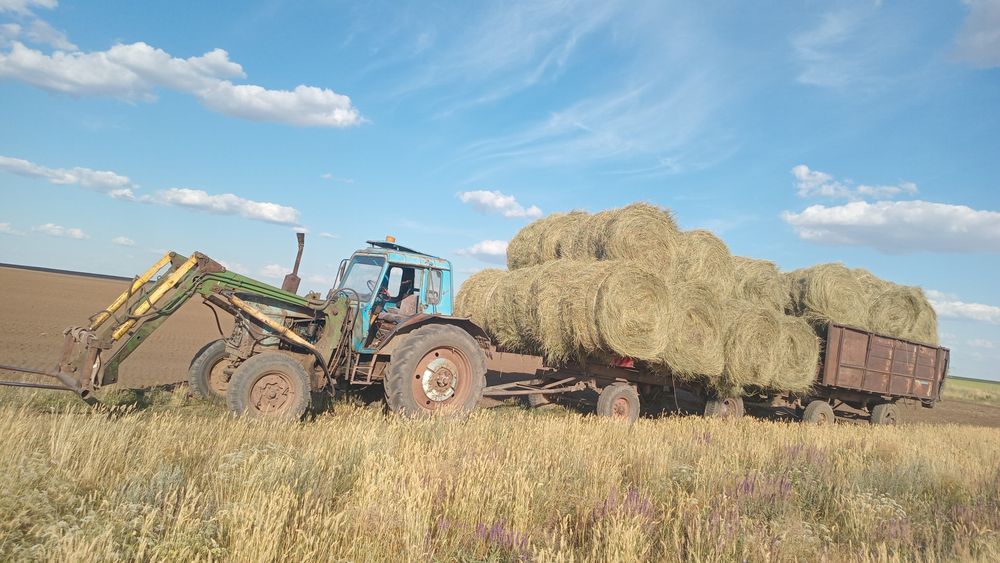 Продам Мтз 80 на ходу