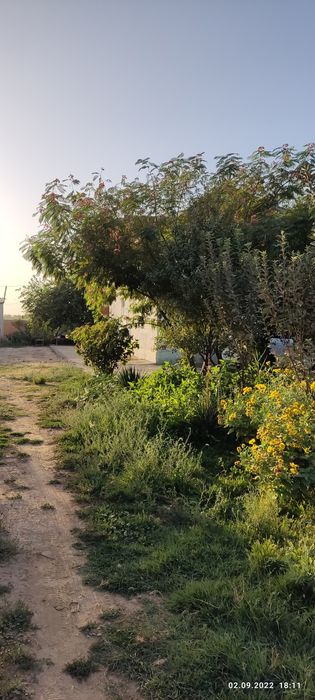 Hovli uy sotiladi tez kunda