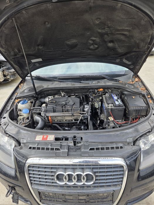 Audi a3 8p 1.9 TDI (НА ЧАСТИ)