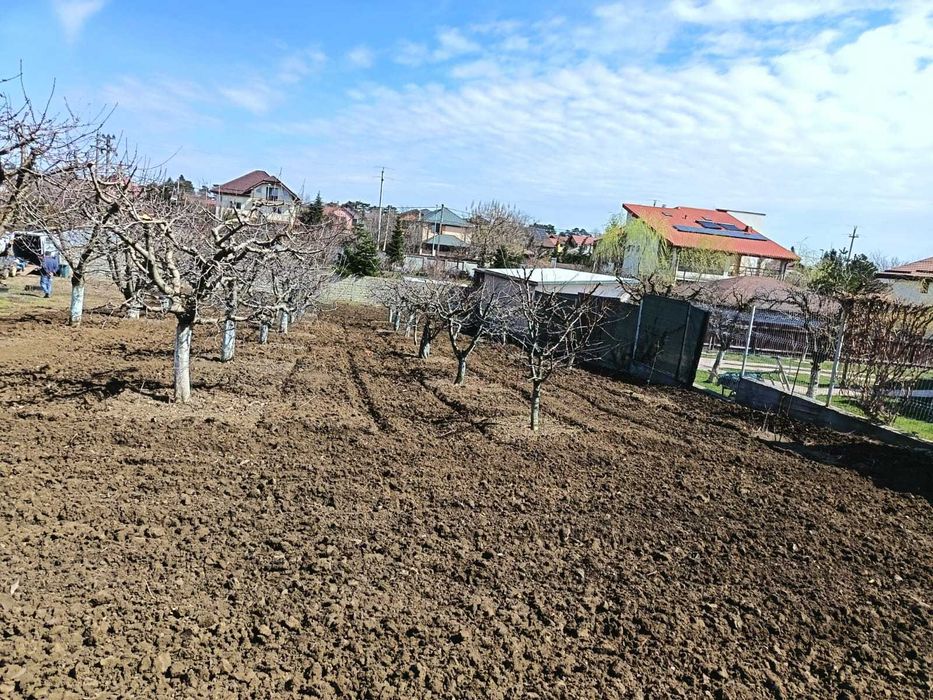 Vils la gri in Buftea, Strada Indepententei,NR 8 ,Calul Balan