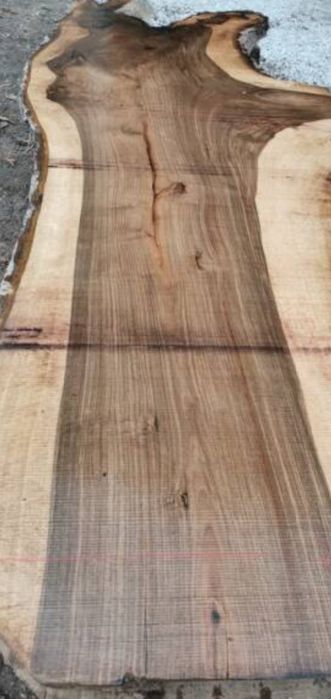 Cherestea blaturi rasină, lemn de nuc, stejar, dud, cires, ulm, paltin