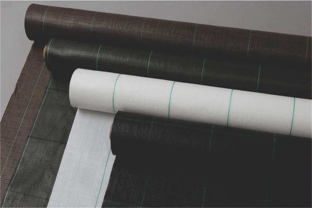 Folie agrotextil antiburuieni