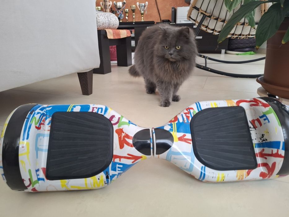 Hoverboard Monkey Board