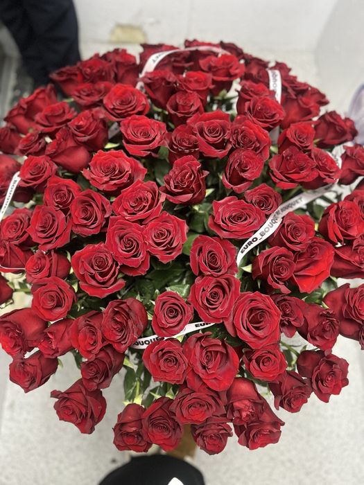 Голладские розы    101 розы