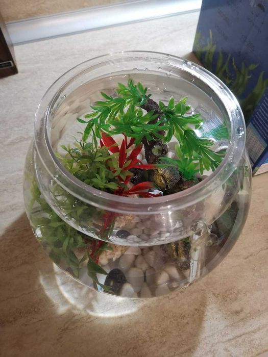 Кръгъл пластмасов аквариум (сфера) за рибки + аксесоари