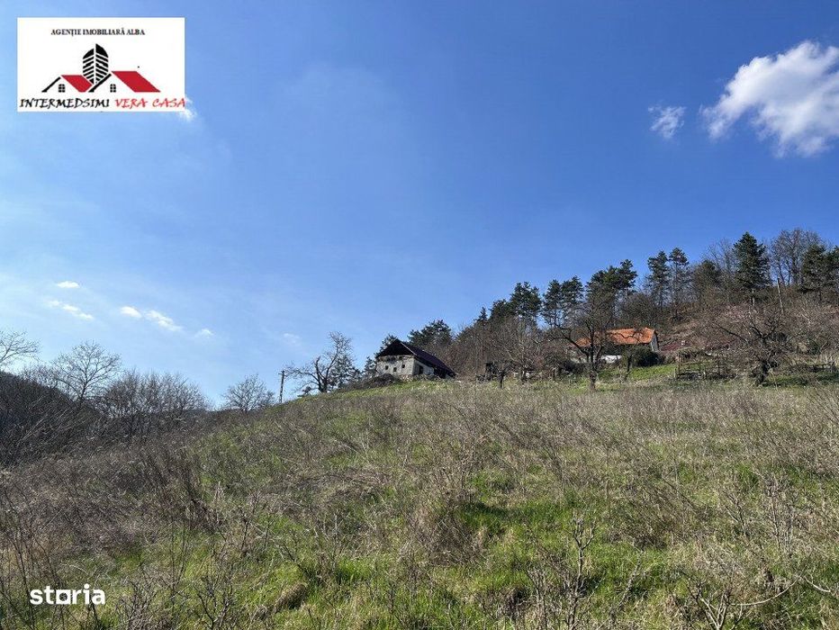 Teren intravilan - extravilan 9,3 Ha de vanzare Matacina Jud Alba