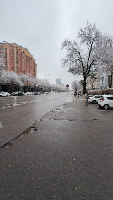 Коммерческое помещение Отдельно стоящее здание Аренда Продажа