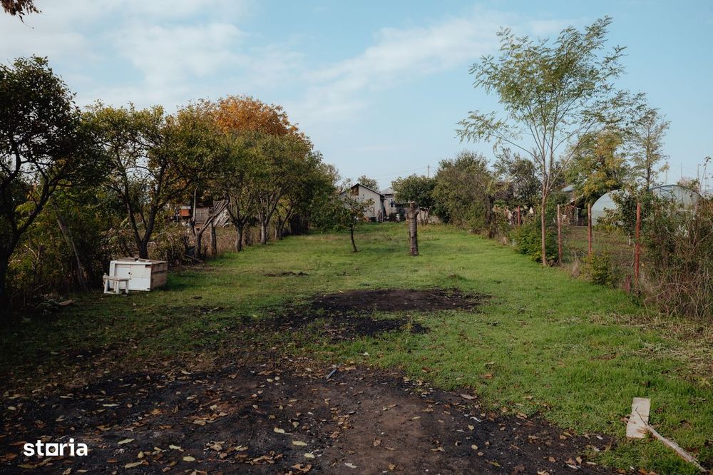 Casa renovata cu teren generos 1186 mp, inconjurata de padure