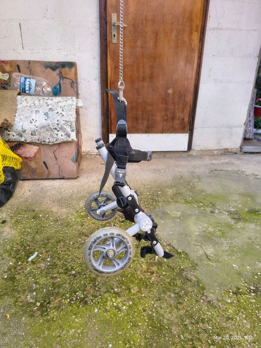 Инвалидна количка за малко куче / 10кг