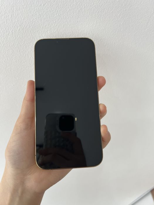 iPhone 13 Pro Max 128/79%