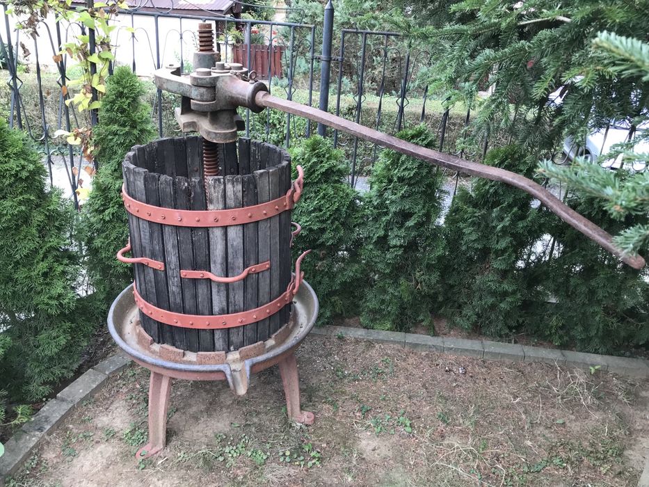 Teasc presa struguri mare pentru vin Arad • OLX.ro