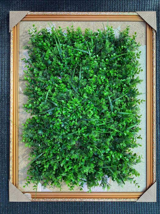 Фитостена в Ташкенте - Коврик на стену