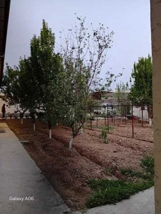 Ташкент вилоят  Янги йу́л туман