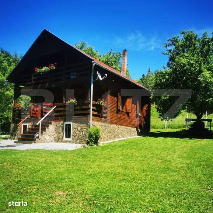 Casa de vacanta cu 4 camere,3300 mp teren,Rimet