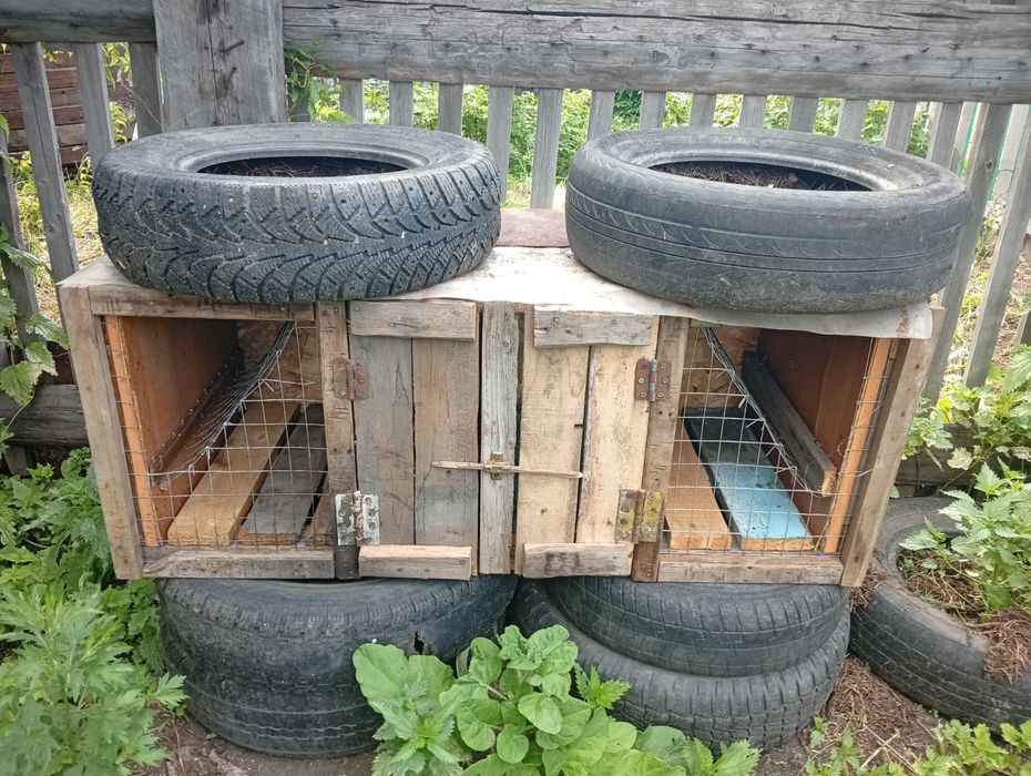 Продам яшик для кроликов
