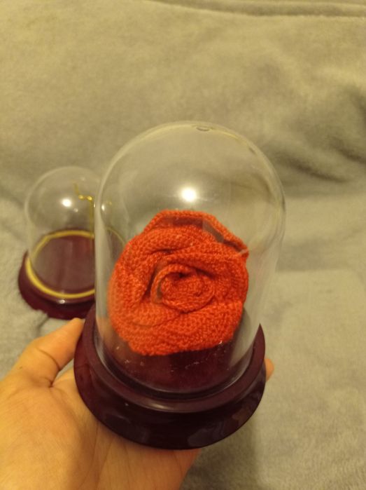 Стеклянный футляр