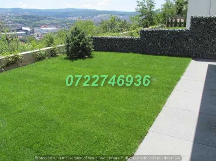 Gazon Natural pentru Curți cu Aspect Impecabil