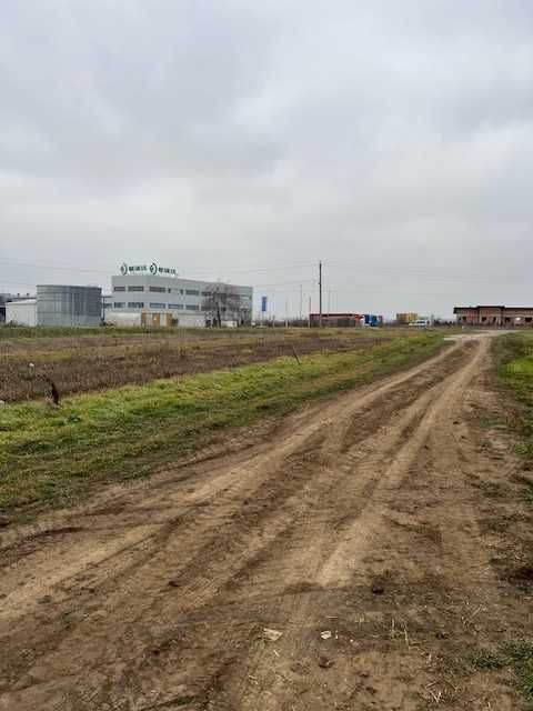 Teren intravilan 2000 mp  Dascălu (Ilfov), deschidere27 metri la DJ200