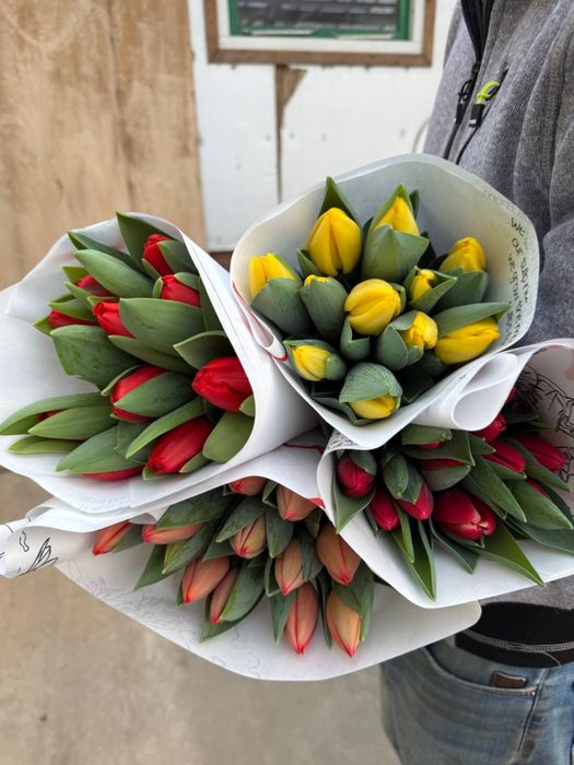 Тюльпаны оптом местные