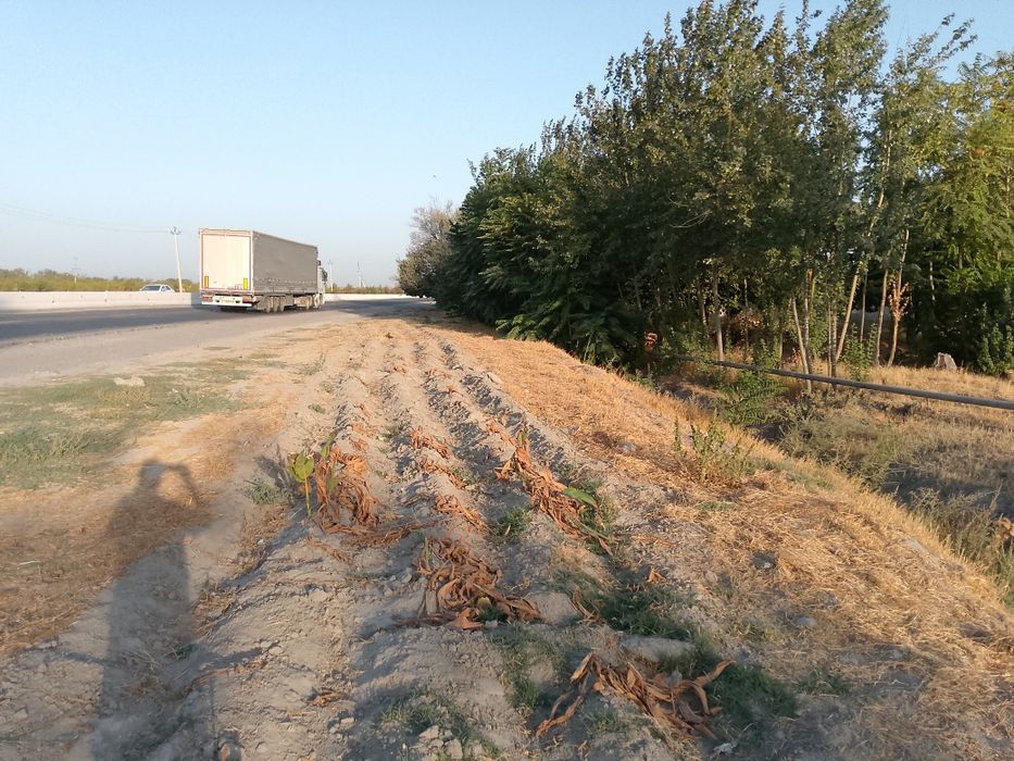 Уй - жой сотилади