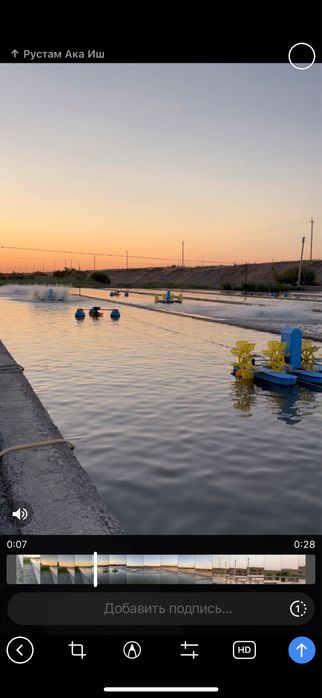 Haida 555 – быстрый рост карпов и высокие технологии для успеха!
