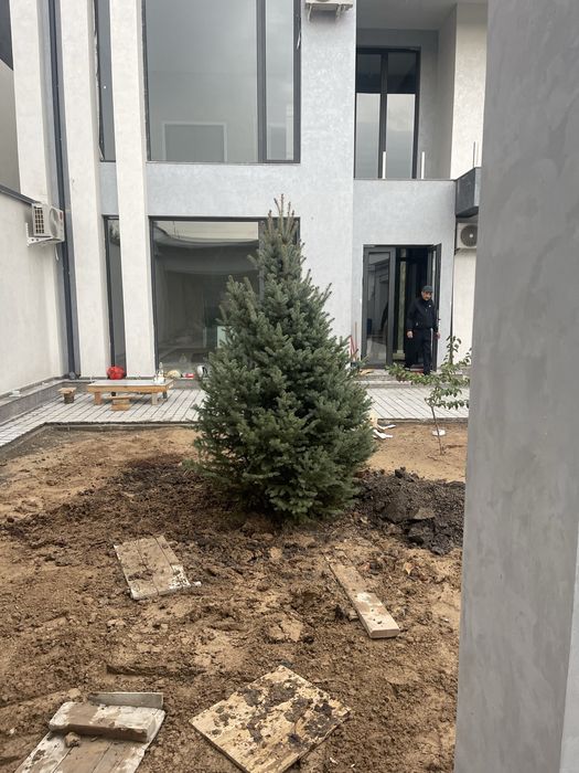 Арчалар доктори СКИДКА