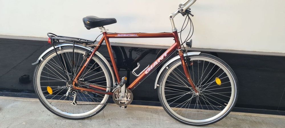 Evropa velosipedlari