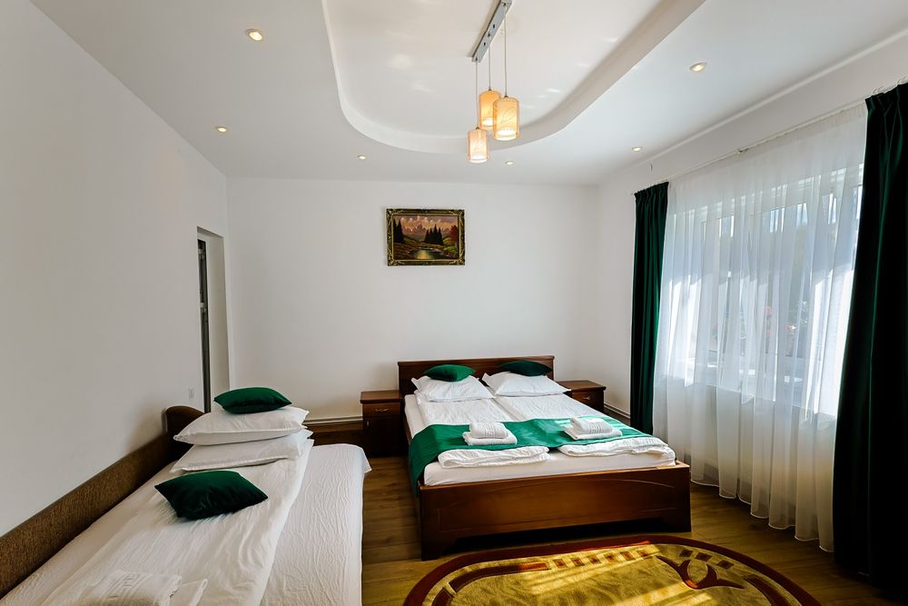 Casa de vacanta Diana Turnu Rosu