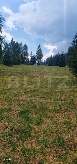 Teren 3.268 mp, intravilan, zona Vatra Dornei