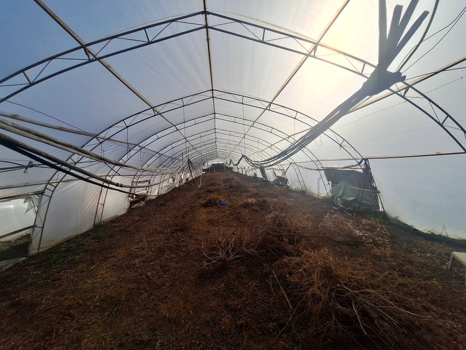 Продавам оранжерии Тервел