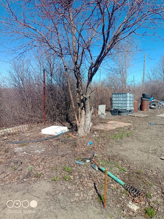 Продается дача с хорошим домиком