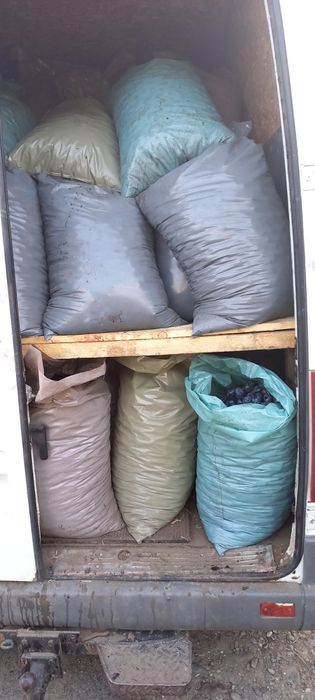 Vindem prune pentru țuică sau consum în cantități mari