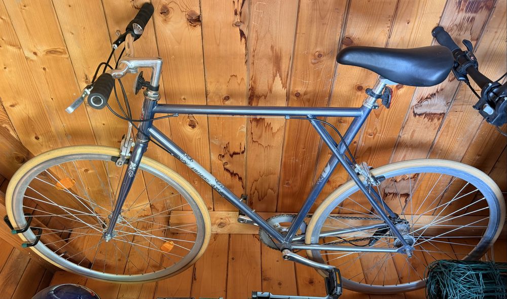 Bicicleta Pegas Clasic