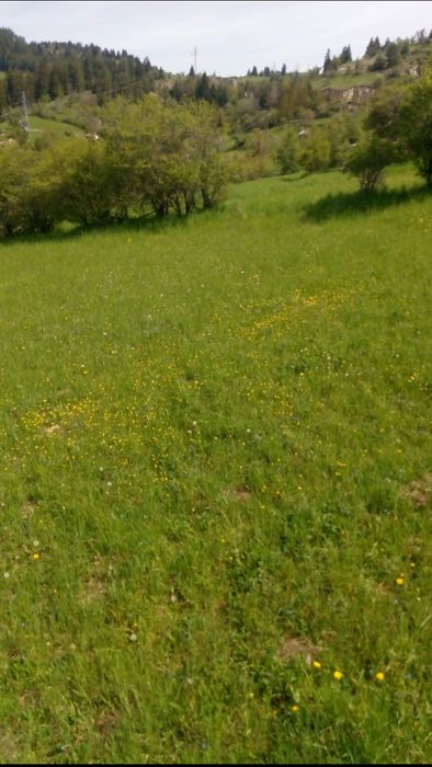 Продавам имот в землището на с.Момчиловци с квадратура 2,700кв.м