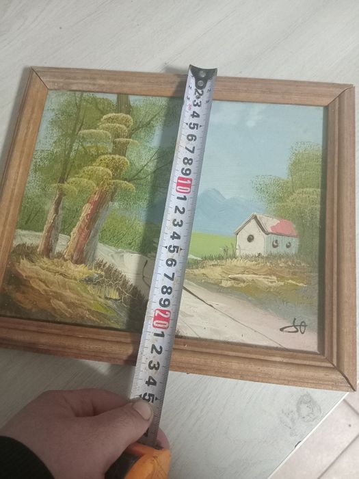 2 tablouri superbe !