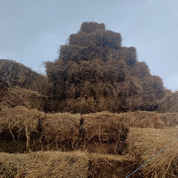 Vând baloti lucernă dreptunghiulari