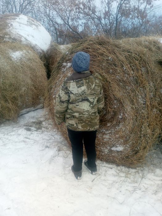 Сено в рулонах .  Есть Доставка..