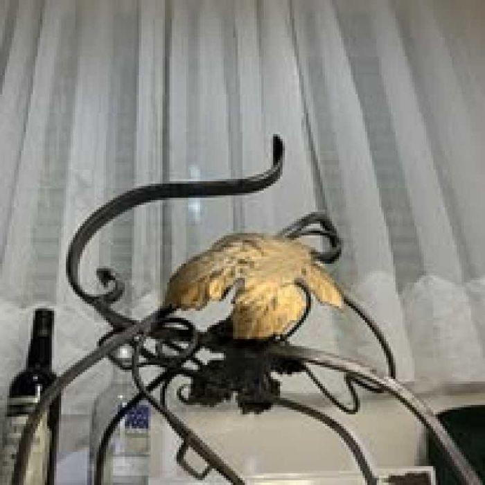 Suport vin vita de vie