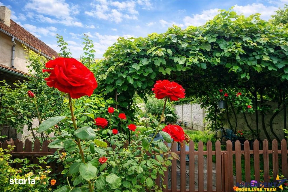 Casa cu vatra traditionala, gradina, garaj, facilitati, Codlea, Brasov