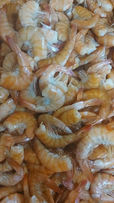 Морепродукты  раки креветки