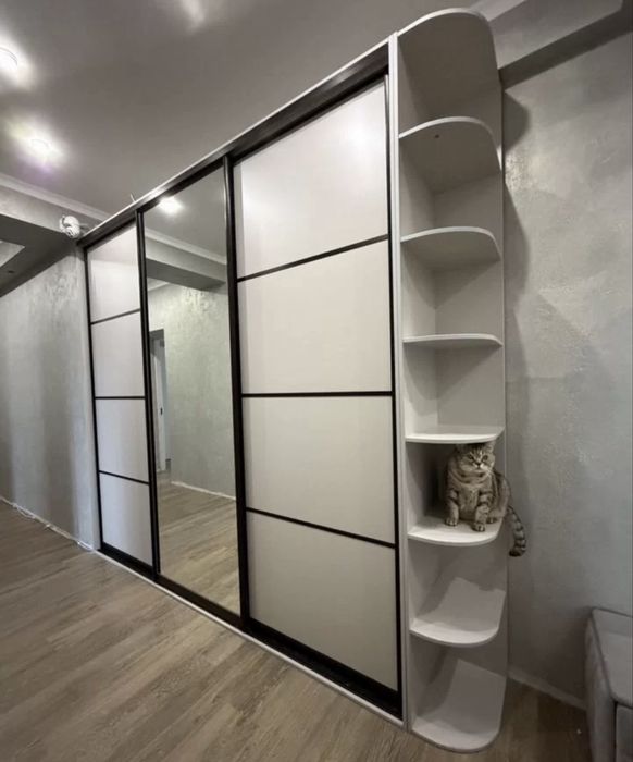 Шкаф  купе с полкой